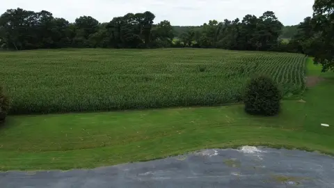 Creek Front Lot Available