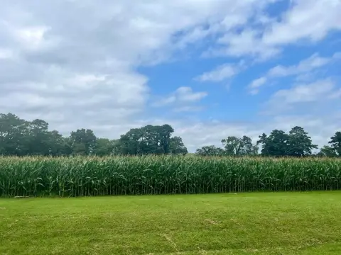 Waterfront Lot in New Church