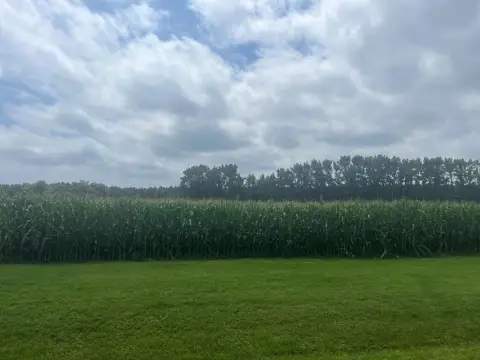 Cleared Lot in New Church