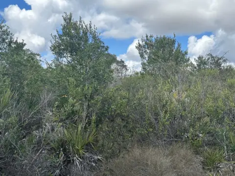 Land in Holopaw Campsite