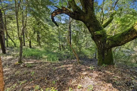 Land in Boulder Creek Redwoods
