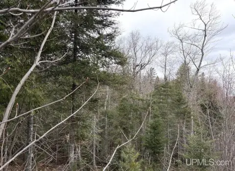 Recreational Hunting Land