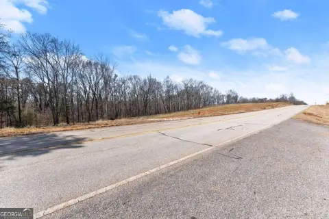 Expansive Land in Carnesville, GA