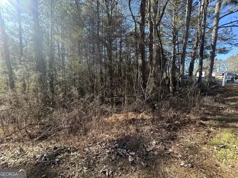 Residential Lot in Lithonia, GA