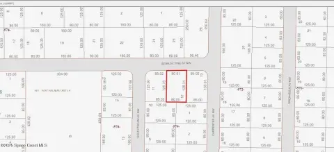 Residential Land in Palm Bay