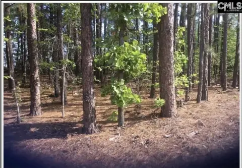 Residential Land in Columbia, SC