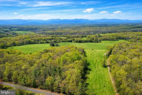 Land For Sale in Culpeper
