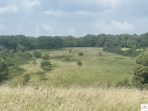 Pasture Farm with Stocked Pond