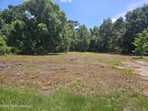 Clear Single-Family Lot