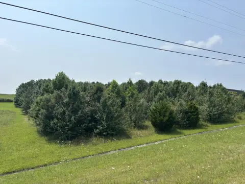Unrestricted Commercial Land Site