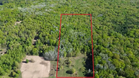 Walkerville, MI Wooded Land Parcel