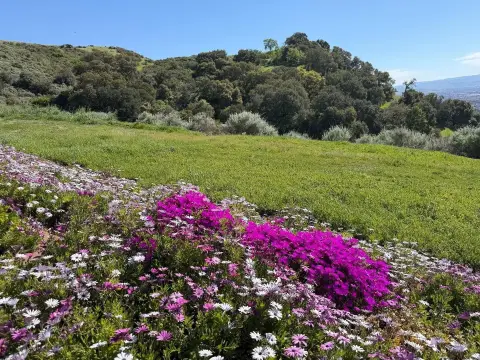 Premier Land with Unobstructed Views