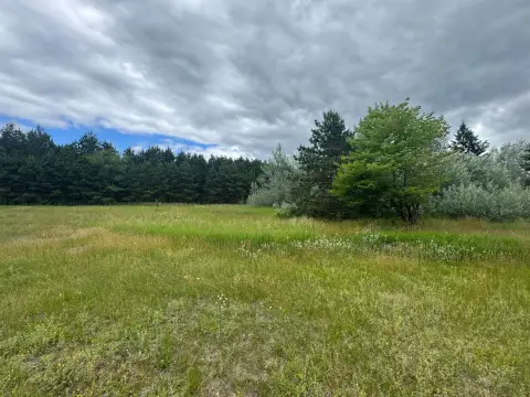 Recreation Land Lot with Mature Trees