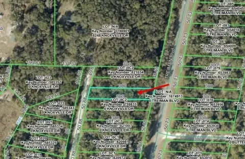 Residential Lot in Webster, FL