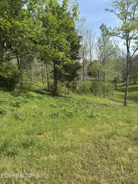 Rockwood Land Near I-40
