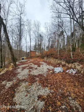 Land For Sale, LaFollette, TN