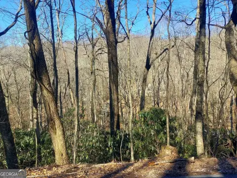 Sky Valley Wooded Lot