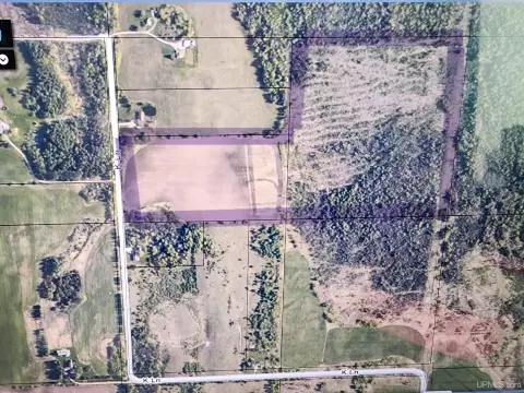 Wooded Hunting and Homestead Land