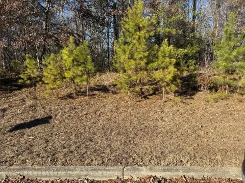 Residential Land in Ozark, AL