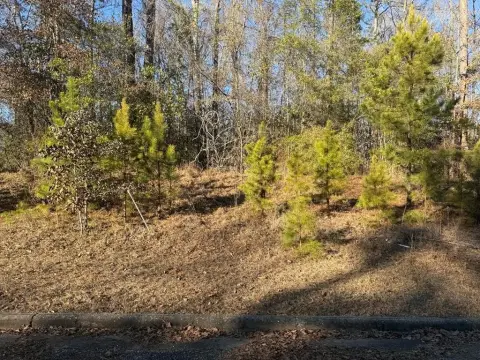 Ozark Residential Land Opportunity