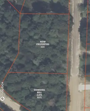 Residential Land in Ashford, Alabama
