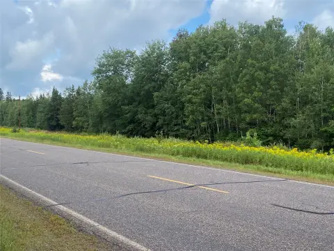 Heavily Wooded Hunting and Recreational Land