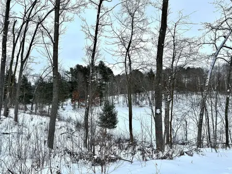 Wooded Land Near Antler Lake