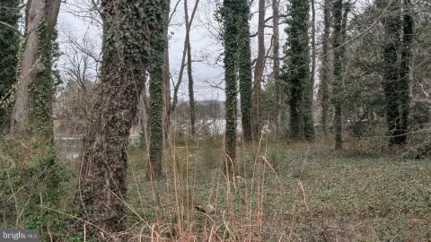Waterfront Wooded Land Parcel