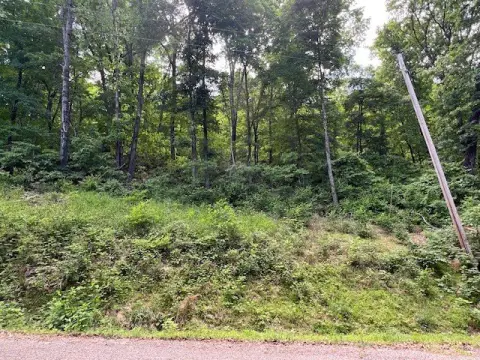 Holiday Island Wooded Lot