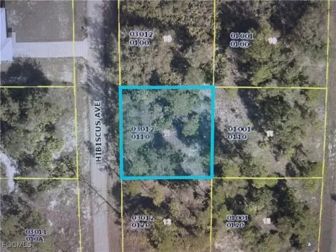 Lehigh Acres Vacant Land