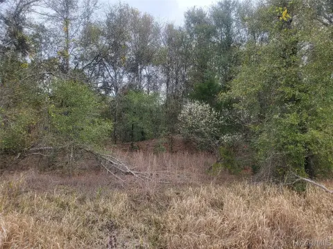 Unrestricted Land in Gilbertown, AL