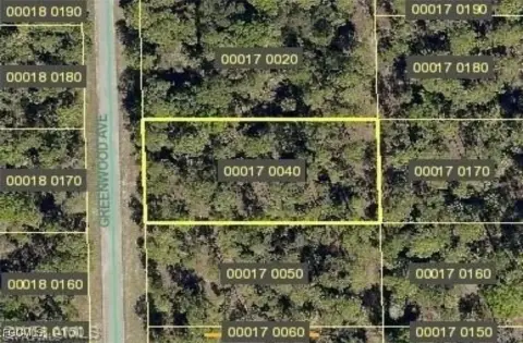 Residential Lot in Lehigh Acres