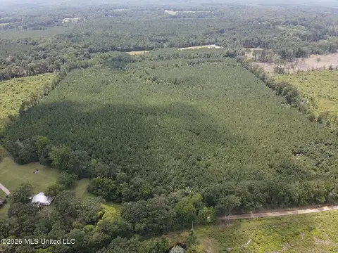 Wooded Recreational Land Tract