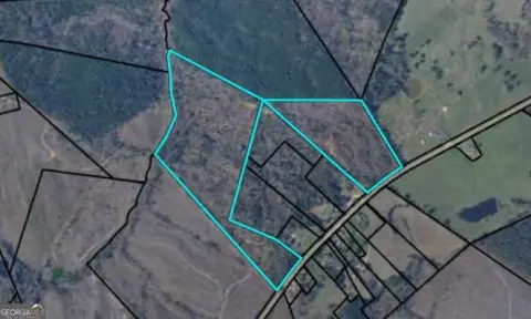 57.58 Acres in Tignall, GA