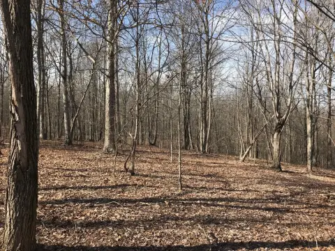 Gated Lake View Building Lot