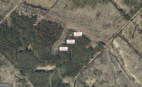 Recreation Hunting Land Tract