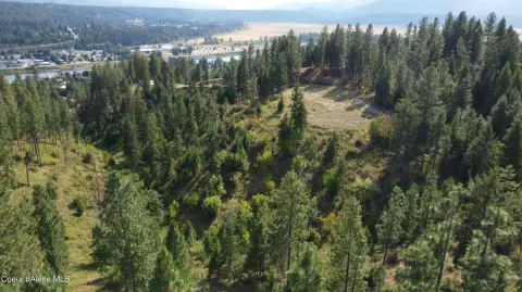 40 Acres in Bonners Ferry