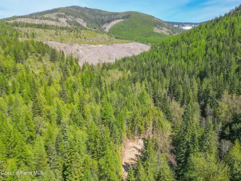Off-Grid Acres with Year-Round Creek