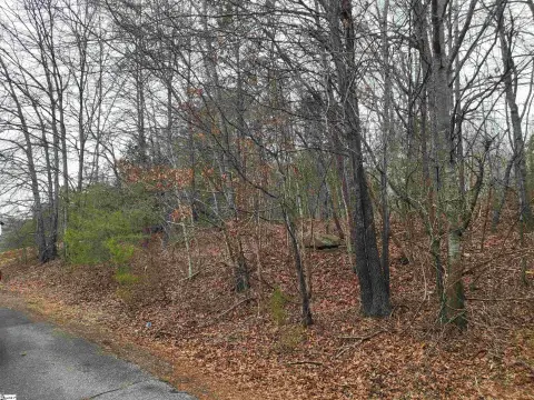 Landrum Residential Lot Near Bridge