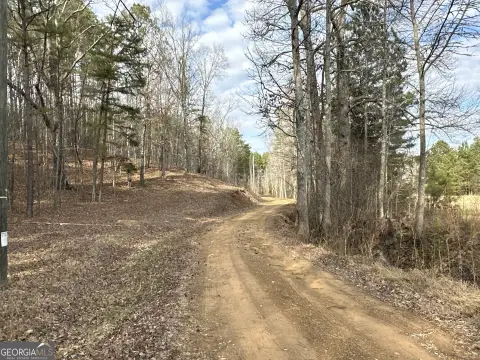 Cedartown Land with Natural Features