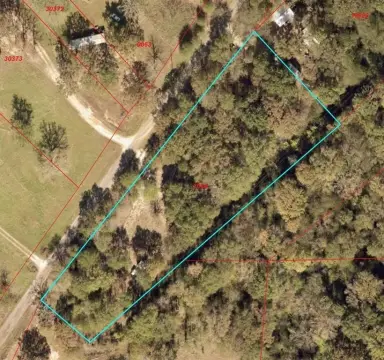 Unimproved Land in Alba, Texas