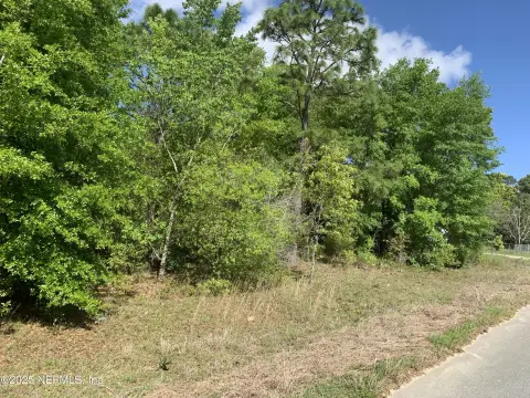 Wooded Corner Lot in Interlachen