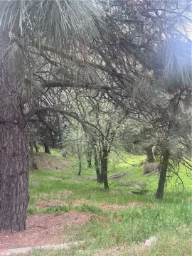 Crestline Land with Development Potential