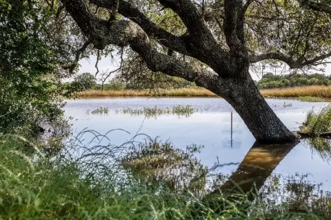 Private Ranch Land with Sunset Views