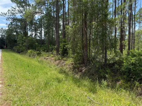 Buildable Residential Lot with Room