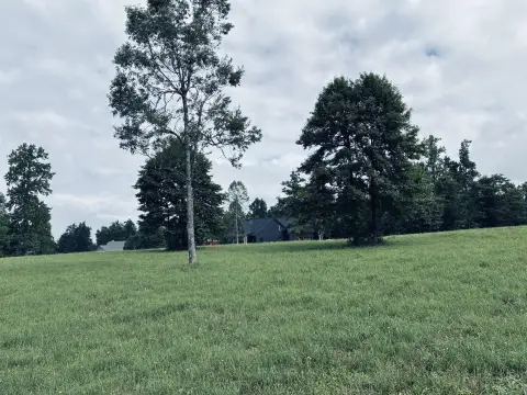 Interior Residential Homesite Lot