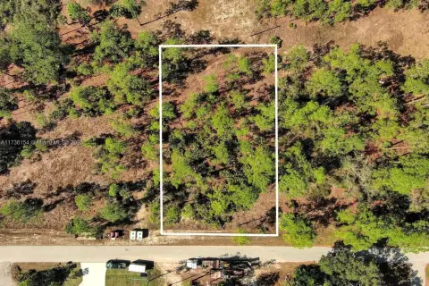 Residential Lot in Lehigh Acres