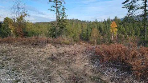 North Idaho Retreat Land Parcel