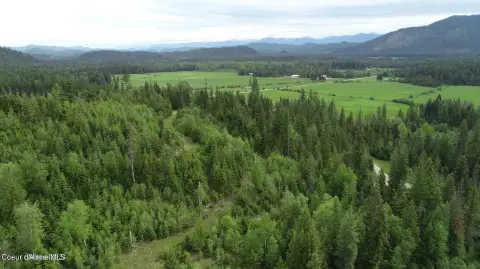 80 Acres Bordered by Forest