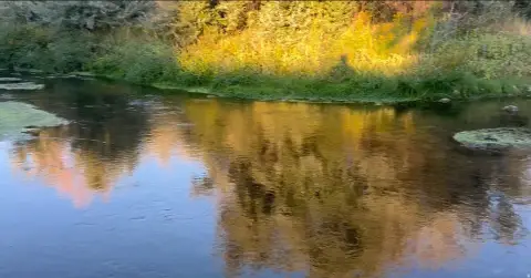 Agricultural Land with Year-Round Creek